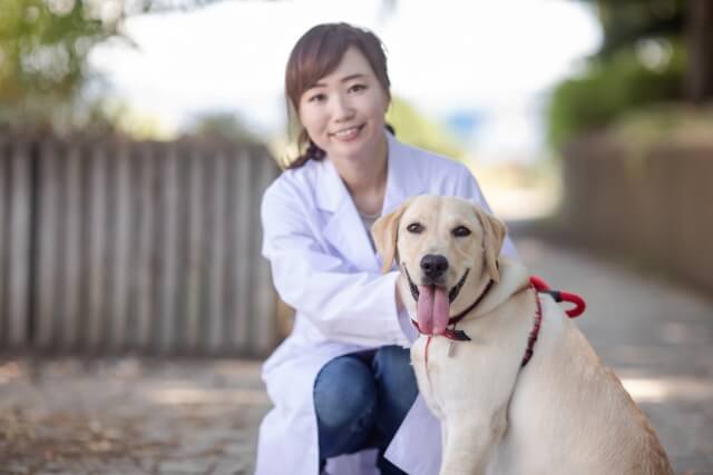 犬と女性