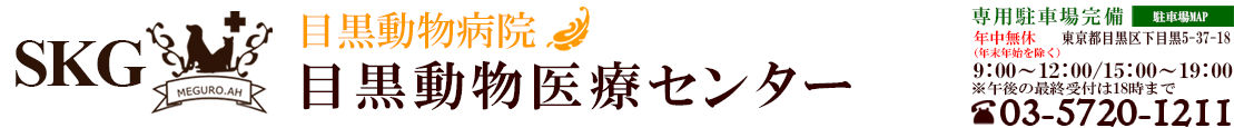 目黒動物医療センター 目黒動物病院 病院案内 ご挨拶