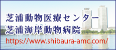 芝浦動物医療センター芝浦海岸動物病院