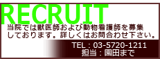 東京目黒区にある犬・猫の動物病院 | Rikuruite／リクルート情報
