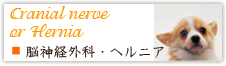 脳神経外科・椎間板ヘルニア
