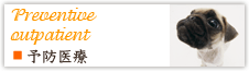 予防医療