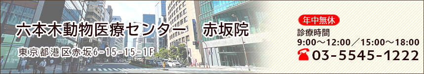 六本木動物医療センター　赤坂院