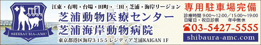 芝浦動物医療センター芝浦海岸動物病院